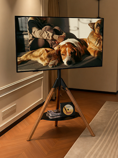 Gallery T1 Easel