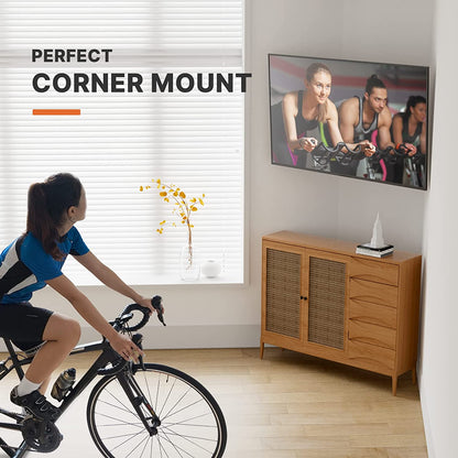 Full Motion TV Wall Mount For 13" to 43" TVs, PGPISF1