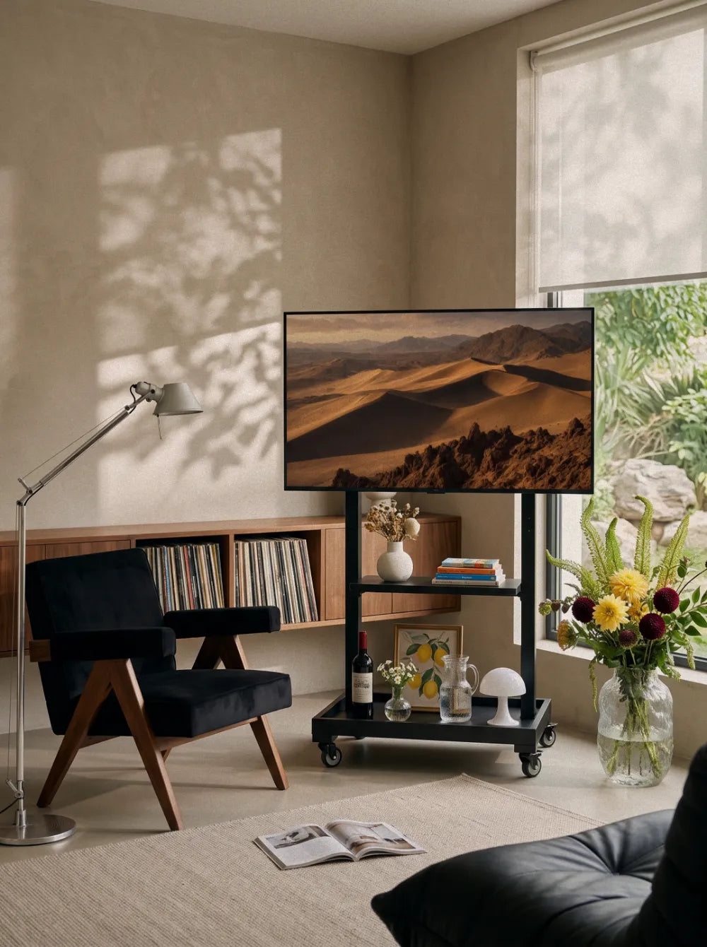 TV CARTS