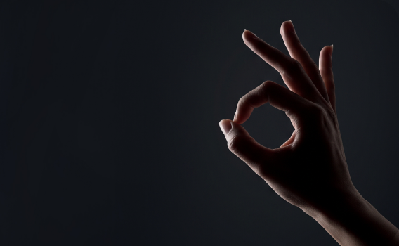Gesture
Control